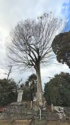 天都賀佐彦神社(徳島県)