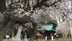 酒門神社(茨城県)