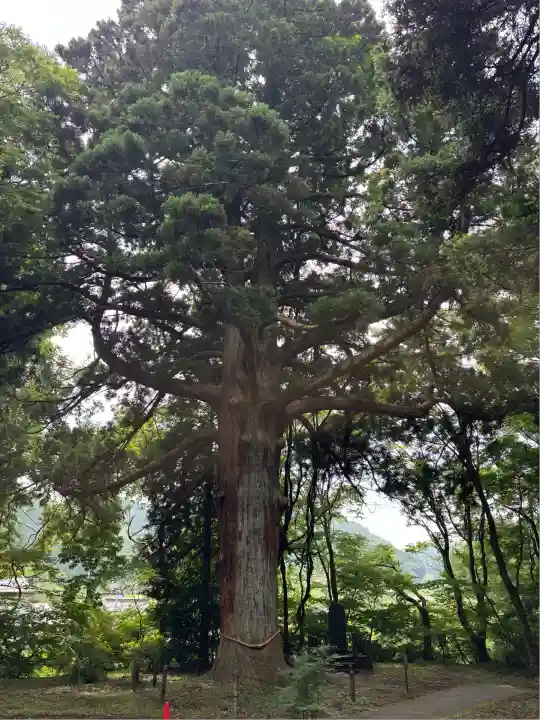 白河神社(福島県)