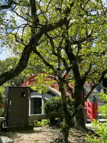 太宰府天満宮の{uncategorized: "未分類", other: "その他", undefined: "問題あり", building: "その他建物", grave: "お墓", sacred_gate: "鳥居", guardian: "狛犬", statue: "像", buddha: "仏像", history: "歴史", nature: "自然", garden: "庭園", animal: "動物", pagoda: "塔", temizu: "手水舎", mountain_gate: "山門・神門", sanctuary: "本殿・本堂", subordinate: "末社・摂社", art: "芸術", scenery: "景色", jizo: "地蔵", ema: "絵馬", goshuin: "御朱印", omikuji: "おみくじ", items: "授与品その他", amulet: "お守り", goshuincho: "御朱印帳", eats: "食事", festival: "お祭り", votive_dance: "神楽", shichigosan: "七五三参", wedding: "結婚式", experience: "体験その他", initially: "初詣", around: "周辺", anti_infection: "感染症対策"}