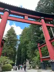 北口本宮冨士浅間神社の鳥居