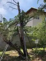 三ツ石神社(岩手県)