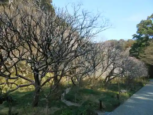 瑞泉寺の庭園