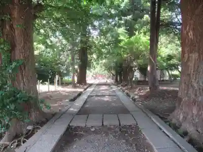 三芳野神社(埼玉県)