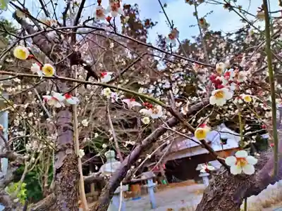 立志神社(滋賀県)