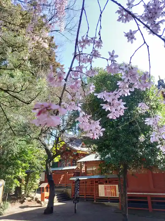 冠稲荷神社(群馬県)