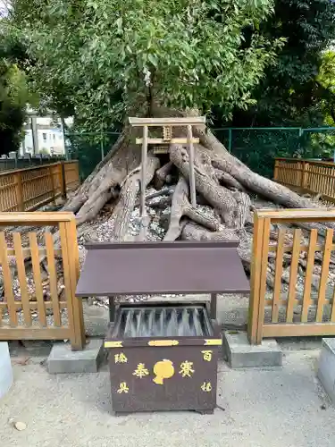 和泉國一之宮　大鳥大社(大阪府)