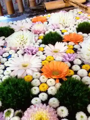 高円寺氷川神社(東京都)