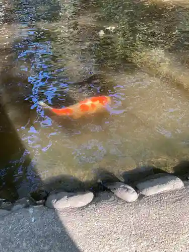 平塚八幡宮(神奈川県)