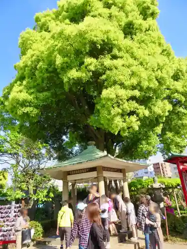 亀戸天神社の手水