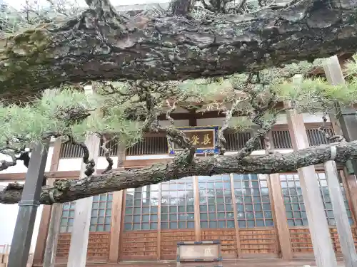 妙典寺の{uncategorized: "未分類", other: "その他", undefined: "問題あり", building: "その他建物", grave: "お墓", sacred_gate: "鳥居", guardian: "狛犬", statue: "像", buddha: "仏像", history: "歴史", nature: "自然", garden: "庭園", animal: "動物", pagoda: "塔", temizu: "手水舎", mountain_gate: "山門・神門", sanctuary: "本殿・本堂", subordinate: "末社・摂社", art: "芸術", scenery: "景色", jizo: "地蔵", ema: "絵馬", goshuin: "御朱印", omikuji: "おみくじ", items: "授与品その他", amulet: "お守り", goshuincho: "御朱印帳", eats: "食事", festival: "お祭り", votive_dance: "神楽", shichigosan: "七五三参", wedding: "結婚式", experience: "体験その他", initially: "初詣", around: "周辺", anti_infection: "感染症対策"}