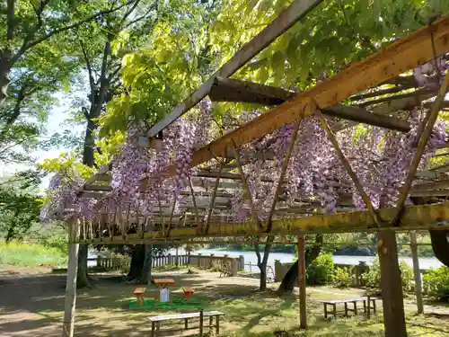 武蔵第六天神社(埼玉県)