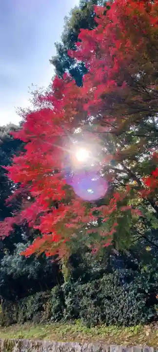 熱田神宮(愛知県)