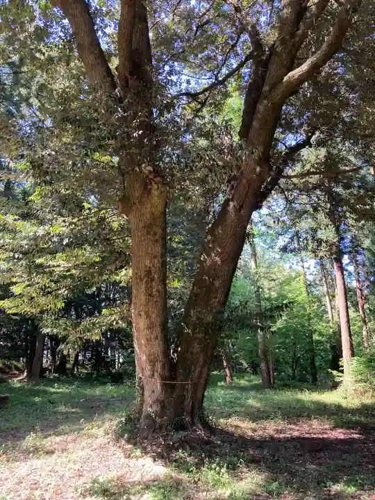 近津神社(栃木県)