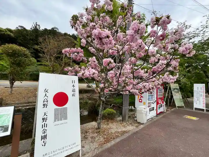 金剛寺(大阪府)