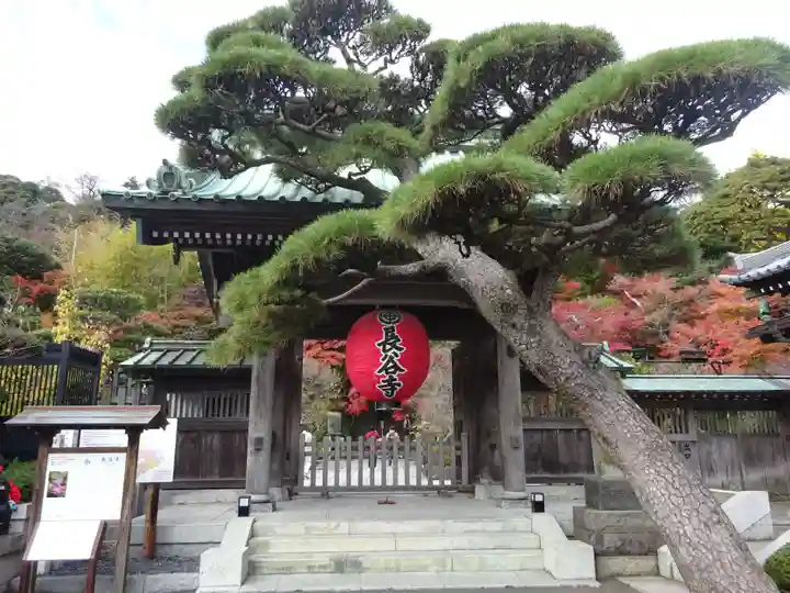 長谷寺(神奈川県)