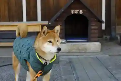 感通寺(東京都)