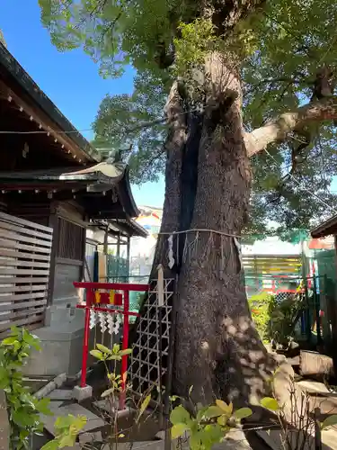 五方山熊野神社のその他建物