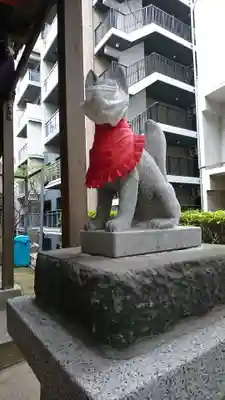 白菊稲荷神社の狛犬