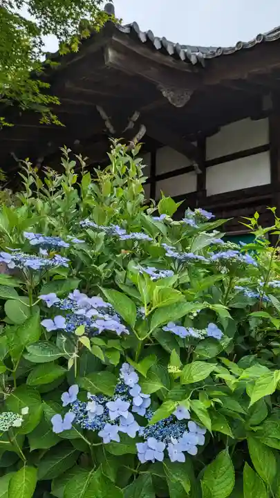 東北院(京都府)