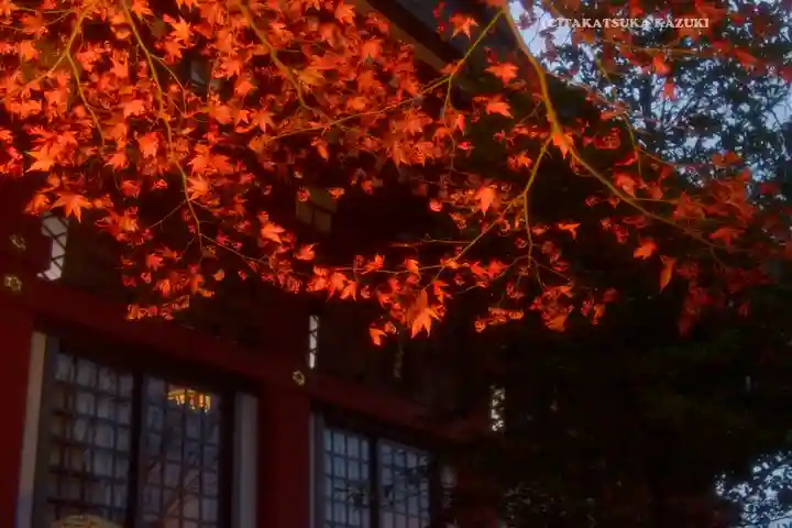大山阿夫利神社(神奈川県)