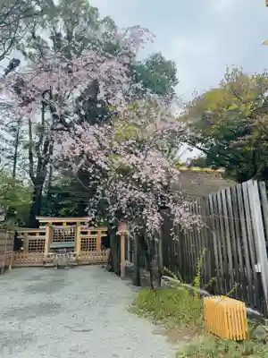 伊勢山皇大神宮(神奈川県)