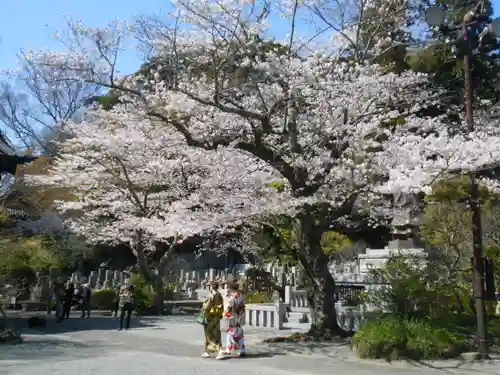 妙本寺の景色