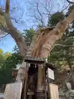 金華山黄金山神社(宮城県)