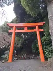 伊豆山神社(静岡県)