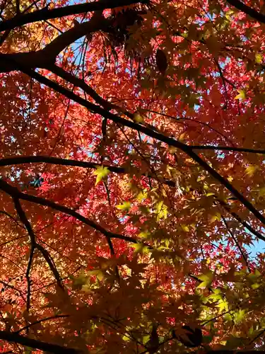 国宝 大法寺(長野県)