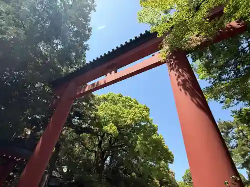 武蔵一宮氷川神社(埼玉県)