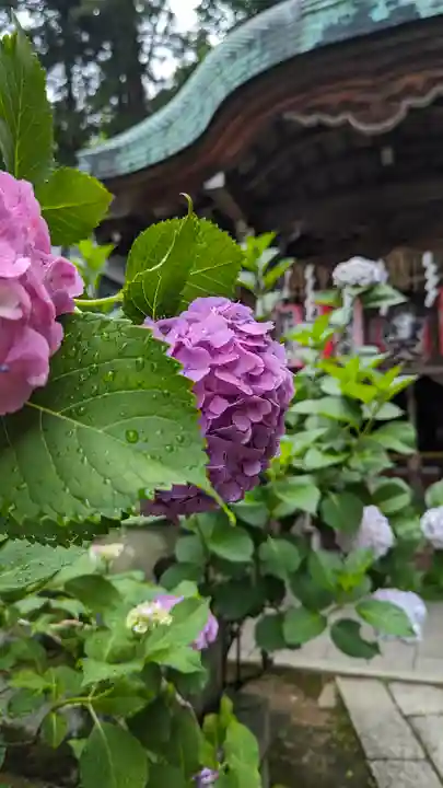 吉水辨財天堂(京都府)