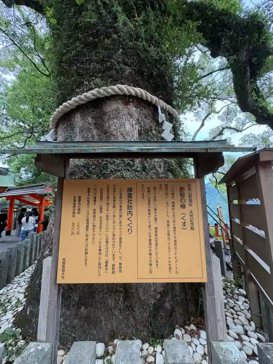 熊野那智大社の{uncategorized: "未分類", other: "その他", undefined: "問題あり", building: "その他建物", grave: "お墓", sacred_gate: "鳥居", guardian: "狛犬", statue: "像", buddha: "仏像", history: "歴史", nature: "自然", garden: "庭園", animal: "動物", pagoda: "塔", temizu: "手水舎", mountain_gate: "山門・神門", sanctuary: "本殿・本堂", subordinate: "末社・摂社", art: "芸術", scenery: "景色", jizo: "地蔵", ema: "絵馬", goshuin: "御朱印", omikuji: "おみくじ", items: "授与品その他", amulet: "お守り", goshuincho: "御朱印帳", eats: "食事", festival: "お祭り", votive_dance: "神楽", shichigosan: "七五三参", wedding: "結婚式", experience: "体験その他", initially: "初詣", around: "周辺", anti_infection: "感染症対策"}