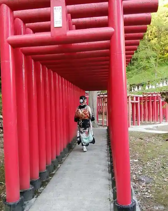 白狐山光星寺の鳥居