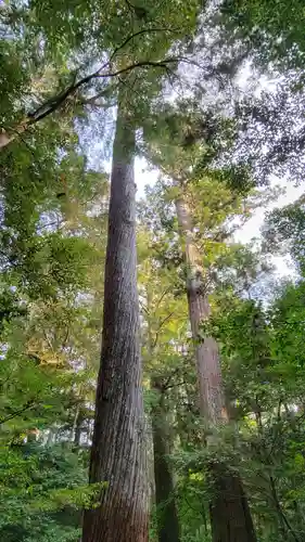 瀧原宮(皇大神宮別宮)(三重県)