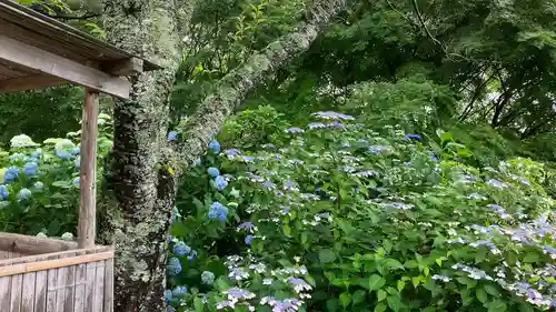 普門寺(岡山県)