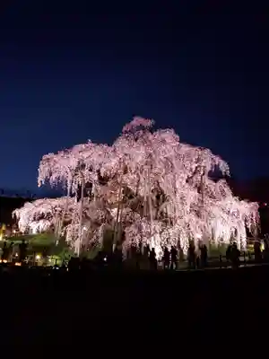 瀧桜神明宮(福島県)