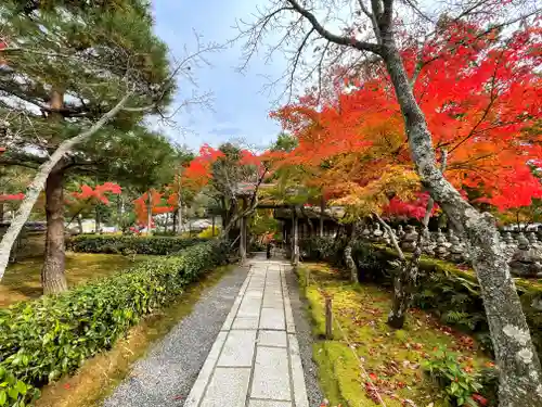 化野念仏寺の山門