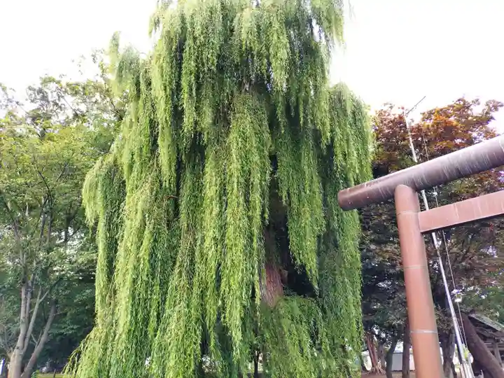 湧別神社(北海道)