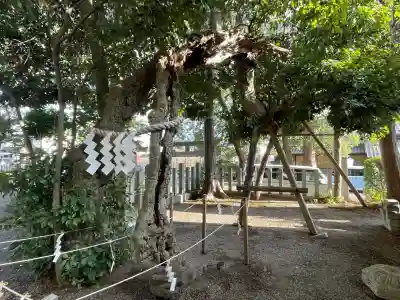 賀茂神社(滋賀県)