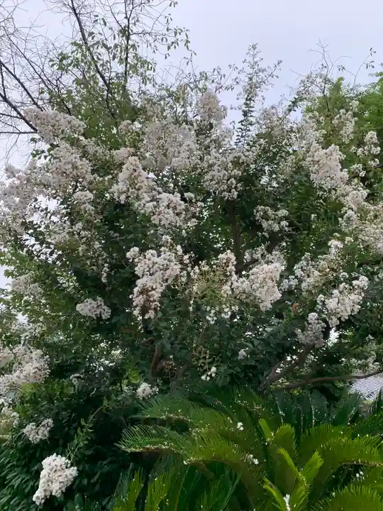 法華寺(神奈川県)