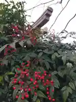 總社 和田八幡宮(福井県)