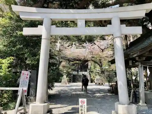 御霊神社の鳥居