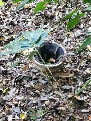 赤城神社 (勧農城跡)の周辺