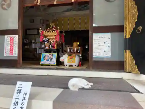 今戸神社の動物