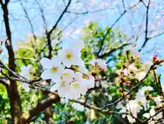 滑川神社 - 仕事と子どもの守り神の自然