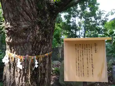 鳥飼八幡宮の自然