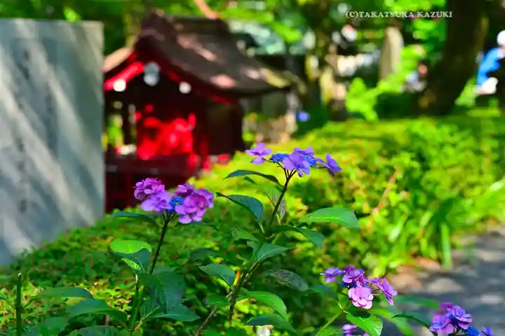 高幡不動尊 金剛寺(東京都)