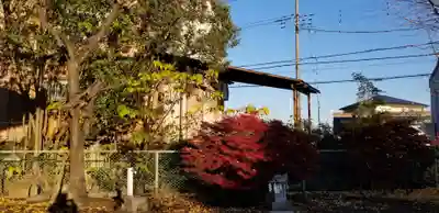 大瀬氷川神社(埼玉県)