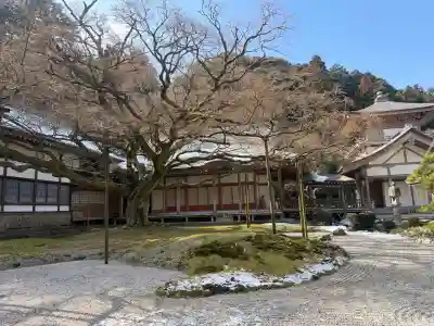 千如寺大悲王院の{uncategorized: "未分類", other: "その他", undefined: "問題あり", building: "その他建物", grave: "お墓", sacred_gate: "鳥居", guardian: "狛犬", statue: "像", buddha: "仏像", history: "歴史", nature: "自然", garden: "庭園", animal: "動物", pagoda: "塔", temizu: "手水舎", mountain_gate: "山門・神門", sanctuary: "本殿・本堂", subordinate: "末社・摂社", art: "芸術", scenery: "景色", jizo: "地蔵", ema: "絵馬", goshuin: "御朱印", omikuji: "おみくじ", items: "授与品その他", amulet: "お守り", goshuincho: "御朱印帳", eats: "食事", festival: "お祭り", votive_dance: "神楽", shichigosan: "七五三参", wedding: "結婚式", experience: "体験その他", initially: "初詣", around: "周辺", anti_infection: "感染症対策"}